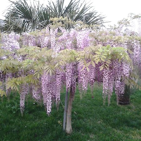ميليندونيو B & B Paradise المظهر الخارجي الصورة