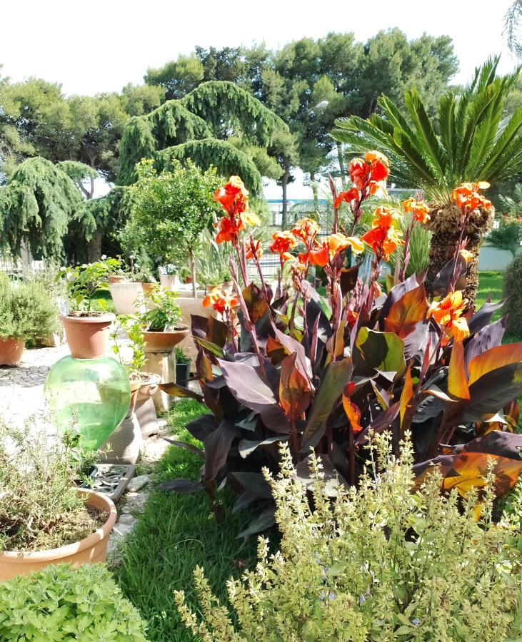 ميليندونيو B & B Paradise المظهر الخارجي الصورة