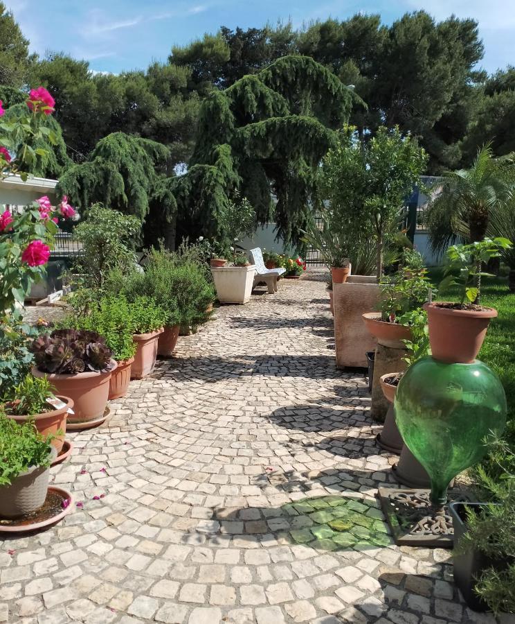 ميليندونيو B & B Paradise المظهر الخارجي الصورة