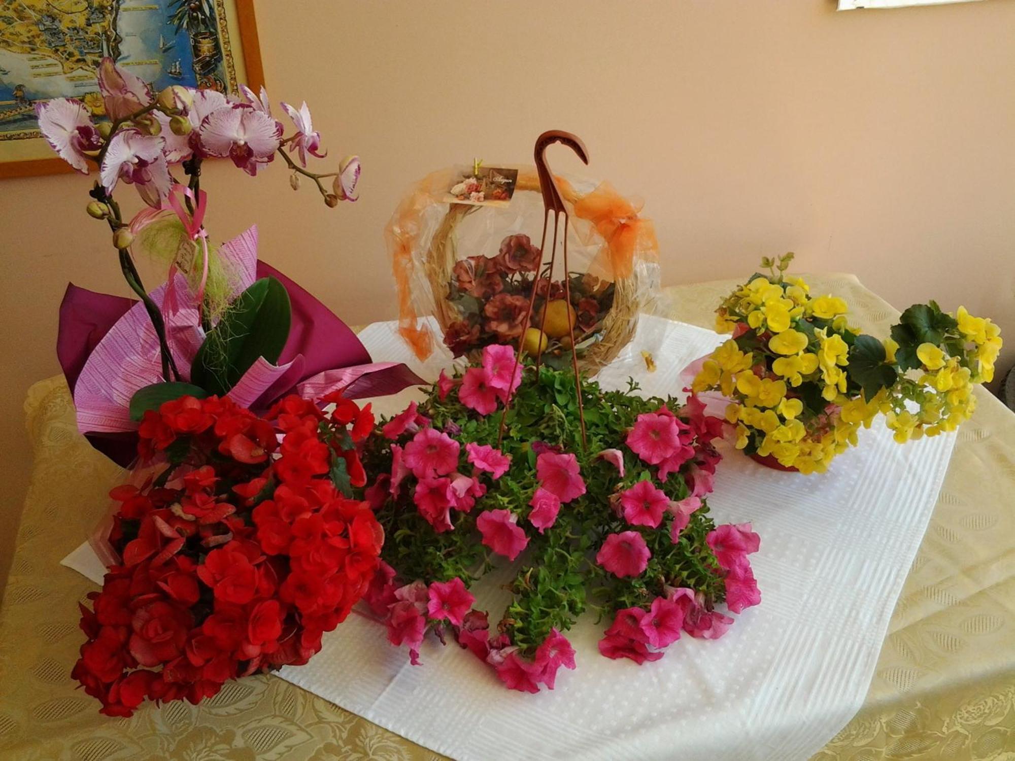 ميليندونيو B & B Paradise المظهر الخارجي الصورة